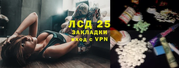 дмт Гусев