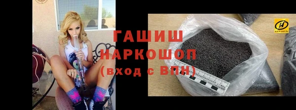 дмт Гусев