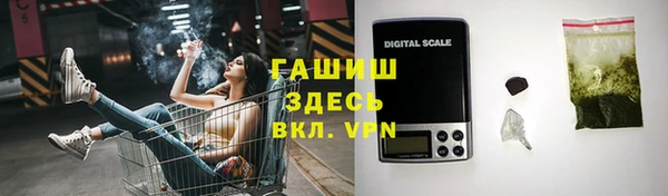 дмт Гусев