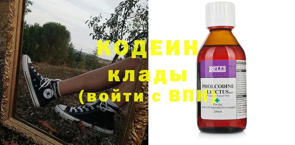 дмт Гусев