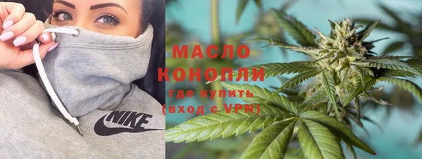 дмт Гусев