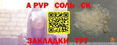 ECSTASY Канаш